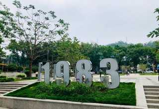 专业力测量传感器报价