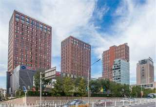 河北办理知识产权管理