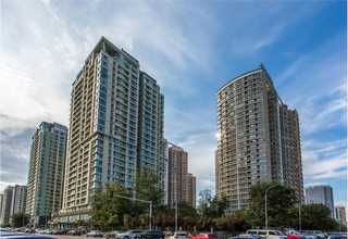 浙江液体无碱速凝剂怎么使用