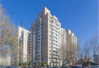 福建纯手工手工宠物零食